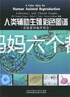 十個準媽媽六個都貧血，別讓貧血傷害你的“好孕”！