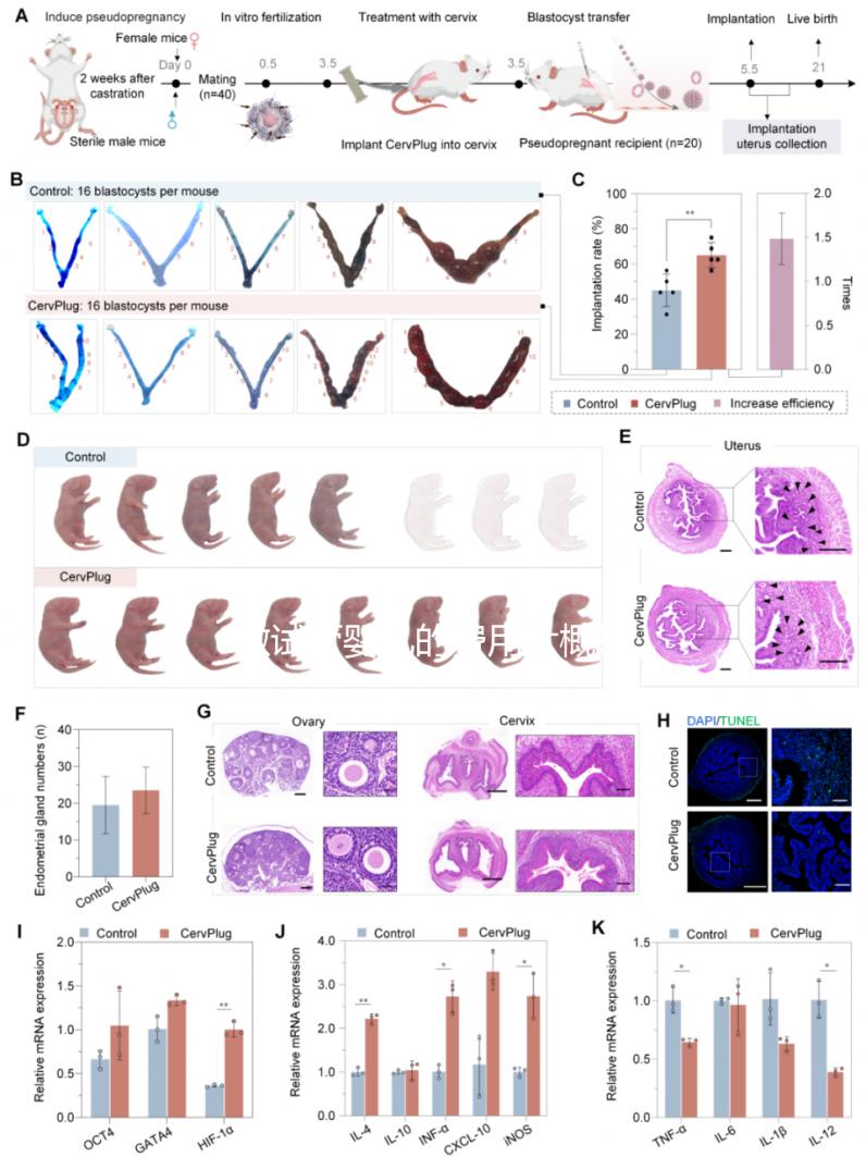 做試管嬰兒的費(fèi)用大概是多少錢？