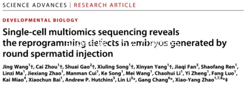 助孕寶典:巧克力囊腫與試管嬰兒成功率的關(guān)系解析