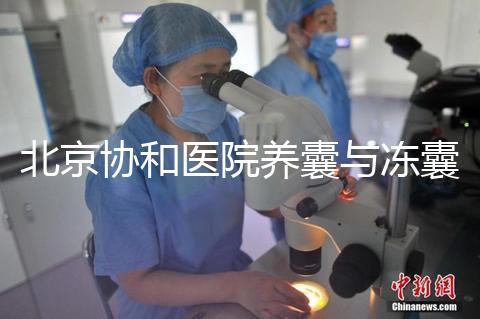 北京協和醫院養囊與凍囊費用參考，做好這4點成功率上漲