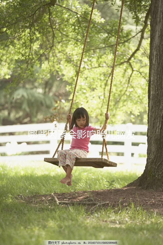 哪些因素會影響胎兒腦發(fā)育呢?聽聽孫麗洲教授怎么說