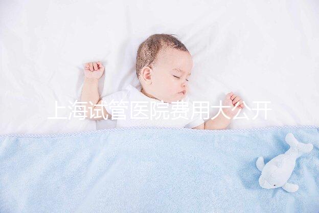 上海試管醫院費用大公開！過來人表示無法報銷真不便宜