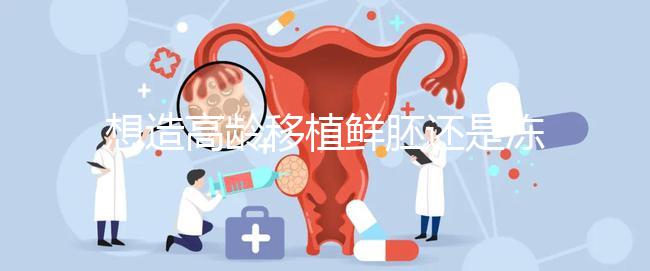 想造高齡移植鮮胚還是凍胚好請(qǐng)進(jìn),關(guān)鍵看身體適不適合