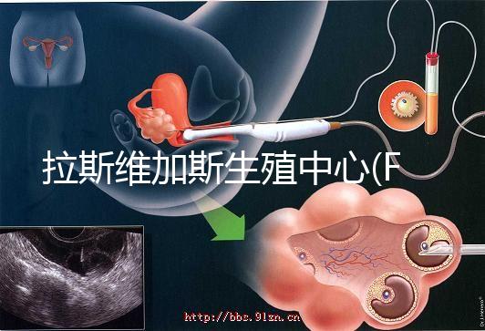 拉斯維加斯生殖中心(FCLV):全美成功率最高的試管嬰兒中心