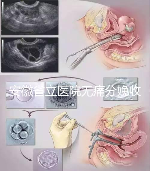 安徽省立醫(yī)院無痛分娩收費標準，過來人經歷告訴你怎么樣