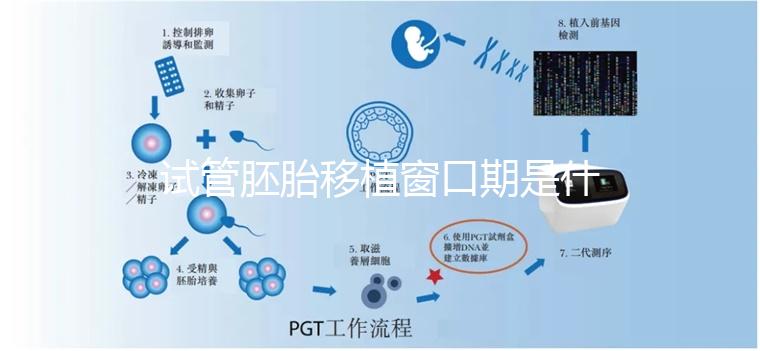 試管胚胎移植窗口期是什么？如何選對時機？