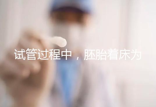 試管過程中,胚胎著床為什么會失敗?4個原因和4個方案都告訴你!