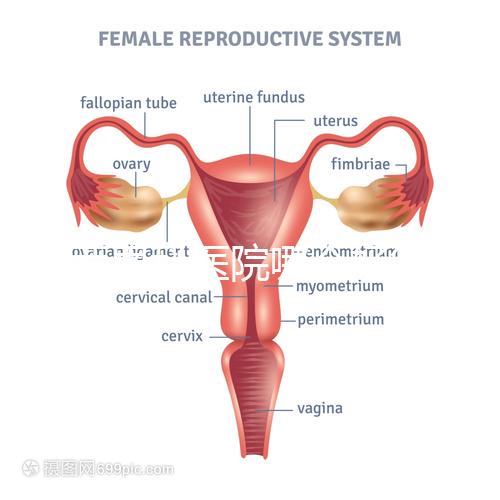 雞西男科醫(yī)院哪個(gè)好答案在這里？公立和私立各有優(yōu)勢(shì)
